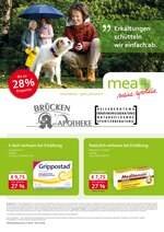 mea - meine apotheke Prospekt "Unsere November-Angebote", 4 Seiten, für Buxtehude, 01.11.2019 - 30.11.2019 mea - meine apotheke Prospekt "Unsere November-Angebote", 4 Seiten, für Buxtehude, 01.11.2019 - 30.11.2019