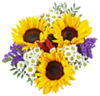 Kaufland Siegen - Saisonstrauß Sonnenblumen Angebot im Prospekt Saisonstrauß Sonnenblumen bei Kaufland im Siegen Prospekt für 6,99 €