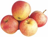 Pausenäpfel Tafeläpfel im Angebot bei famila Nordost in Lüneburg Pausenäpfel Tafeläpfel Angebote bei famila Nordost Lüneburg für 2,29 €