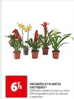 ORCHIDÉES ET PLANTES EXOTIQUES en promo chez Auchan Supermarché Courbevoie à 6,75 €