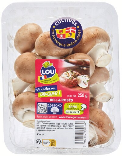 Lou Champignons rosés
