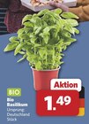 Basilikum im Angebot bei combi in Bielefeld Basilikum Angebote bei combi Bielefeld für 1,49 €