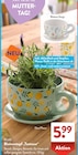 Blumentopf "Teetasse" von BELAVI im aktuellen ALDI SÜD Prospekt für 5,99 €