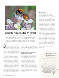 Alnatura Honig im Prospekt 