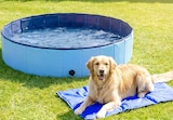 Aktuelle Becks Angebote bei Thomas Philipps in Ludwigshafen (Rhein) Aktuelles Hunde-pool Angebot bei Thomas Philipps in Ludwigshafen (Rhein) ab 9,99 €
