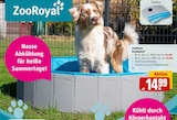 Hundepool von ZooRoyal im aktuellen REWE Prospekt