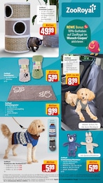 REWE Kuscheldecke im Prospekt REWE Kuscheldecke im Prospekt