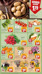 Blumen Angebot & Preis im aktuellen REWE Prospekt Blumen Angebot im aktuellen REWE Prospekt auf Seite 7