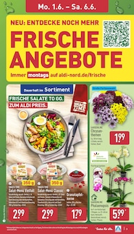 ALDI Nord Prospekt der aktuellen Woche, gĂĽltig von 01.06.2026 bis 06.06.2026 Aktueller ALDI Nord Prospekt "Aktuelle Angebote" mit 38 Seiten