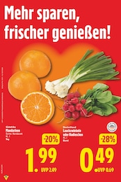 Zwiebeln Angebot im aktuellen E center Prospekt auf Seite 4