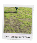 Frühjahr-Rasendünger Angebote von Turbo bei Netto Marken-Discount Weiden für 14,99 €