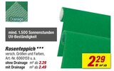 toom Baumarkt Göritz - Rasenteppich Angebot im Prospekt Rasenteppich bei toom Baumarkt im Göritz Prospekt für 2,29 €