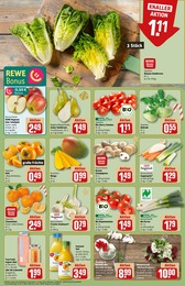 REWE Farbe im Prospekt 