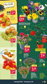 Aktueller Netto mit dem Scottie Prospekt mit Kiwi, "Günstig. Besser. Für Dich.", Seite 3