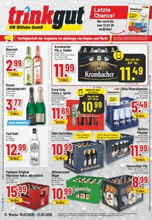 Coca Cola im Trinkgut Prospekt "Aktuelle Angebote" mit 10 Seiten (Wunstorf)