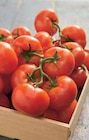 Tomate ronde en grappe à Intermarché dans Saint-Nazaire-d'Aude