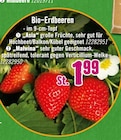 Aktuelle Erdbeeren Angebote bei Hornbach in Koblenz Aktuelles Bio-Erdbeeren Angebot bei Hornbach in Koblenz ab 1,99 €