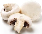 Aktuelle Champignons Angebote bei GLOBUS in Duisburg Aktuelles Champignons weiß Angebot bei GLOBUS in Duisburg
