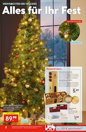 Aktueller Hellweg Prospekt mit Christbaumschmuck, "Die Profi-Baumärkte", Seite 2