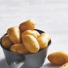 Hyper U Vert-en-Drouais - Promo Pomme de Terre Nouvelle Récolte Promo Pomme de Terre Nouvelle Récolte à 2,99 € dans le catalogue Hyper U à Vert-en-Drouais