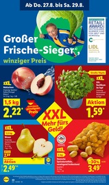 Aktueller Lidl Prospekt mit Kartoffeln, "LIDL LOHNT SICH", Seite 62