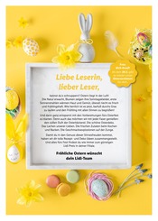 Ostern Angebot im Lidl Prospekt, gültig von 20.03.2023 bis 08.04.2023 Ostern Angebot im aktuellen Lidl Prospekt auf Seite 2