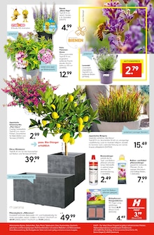 Blumen im Hellweg Prospekt "Die Profi-Baumärkte" mit 24 Seiten (Dortmund)