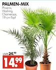Palmen-Mix im Angebot bei Wreesmann in Weimar Palmen-Mix Angebote bei Wreesmann Weimar für 14,99 €