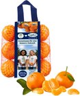Mandarinen im Angebot bei REWE in Hilden Mandarinen Angebote von SanLucar bei REWE Hilden für 2,49 €