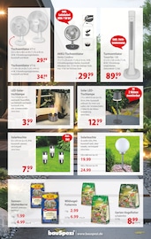 Wild im bauSpezi Prospekt in Schwabach Aktueller bauSpezi Prospekt mit Wild, "Ohne Rasentrimmer geht’s auch…aber nicht so gut!", Seite 6