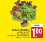 EDEKA Karcha - Salatrio mit Wurzelballen Angebot im Prospekt Salatrio mit Wurzelballen bei EDEKA im Karcha Prospekt für 1,00 €