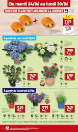 Offre Plante Verte dans le catalogue Aldi du moment à la page 6