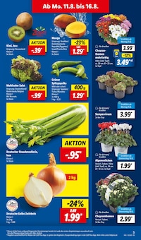 Pflanzen im aktuellen Lidl Prospekt (Hildesheim) Pflanzen im Lidl Prospekt "LIDL LOHNT SICH" mit 71 Seiten (Hildesheim)