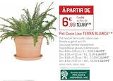 Pot Cocio Liso - TERRA BLANCA dans le catalogue Botanic