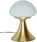 Weldom Saint-Raphaël - Promo Lampe led kinoko tactile Promo Lampe led kinoko tactile à 21,90 € dans le catalogue Weldom à Saint-Raphaël