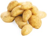 Speisekartoffeln Angebote von REWE Beste Wahl bei REWE Kaufbeuren für 1,49 €