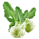 Aktuelle Gemüse Angebote bei Netto Marken-Discount in Oldenburg Aktuelles Kohlrabi Angebot bei Netto Marken-Discount in Oldenburg ab 1,00 €