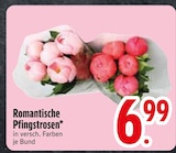 Romantische Pfingstrosen  im aktuellen EDEKA Prospekt für 6,99 €