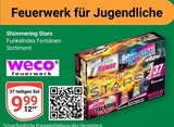 Aktuelles Shimmering Stars Angebot bei GLOBUS in Neuwied ab 9,99 €