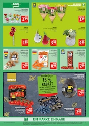 Aktueller Marktkauf Prospekt mit Blumen, "AUSWAHL RIESIG, PREISE NIEDRIG", Seite 9