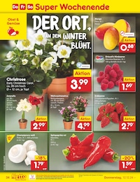 Netto Marken-Discount Champignons im Prospekt 