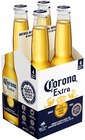 Aktuelle Bier Angebote bei Penny in Göttingen Aktuelles Extra Mexican Angebot bei Penny in Göttingen ab 3,99 €