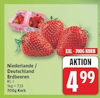 Erdbeeren Angebote bei EDEKA Falkensee für 4,99 €