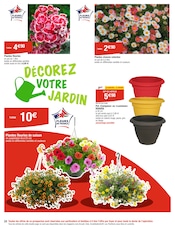 Plantes Angebote im Prospekt "Saveurs du MONDE" von Cora auf Seite 24