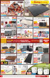 Bier im Norma Prospekt in Hof Aktueller Norma Prospekt mit Bier, "Mehr fürs Geld", Seite 4