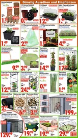 Fahrradzubehör im Wreesmann Prospekt in Cuxhaven Aktueller Wreesmann Prospekt mit Fahrradzubehör, "DEIN SAISON- & SONDERPOSTENMARKT!", Seite 2