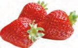 Herzstücke Erdbeeren im Angebot bei EDEKA in Stade Herzstücke Erdbeeren Angebote von Edeka bei EDEKA Stade für 2,99 €