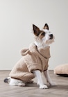 Hundejacke bei TEDi im Bobingen Prospekt für 6,00 €