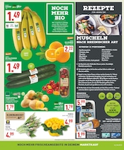 Tulpen im Marktkauf Prospekt in Arnsberg Aktueller Marktkauf Prospekt mit Tulpen, "Aktuelle Angebote", Seite 7