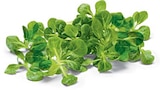 Bio Feldsalat von BioBio für 1,29 € bei Netto Marken-Discount im Angebot Bio Feldsalat von BioBio im aktuellen Netto Marken-Discount Prospekt